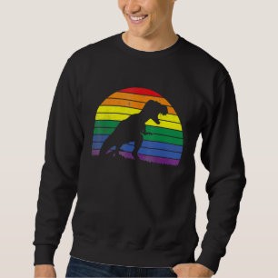 LGBT Rex Gay Pride Lesbian Dinosaur Sunset Retro V Sweatshirt