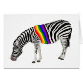 LGBT Zebra (Front Horizontal)