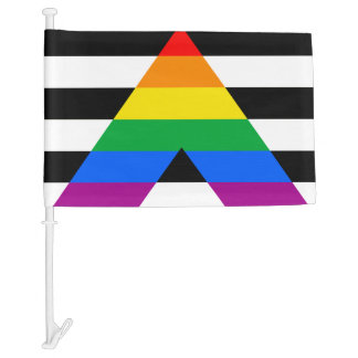 LGBTQ+ Ally Flag