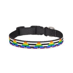 LGBTQ+ Ally Flag Pet Collar