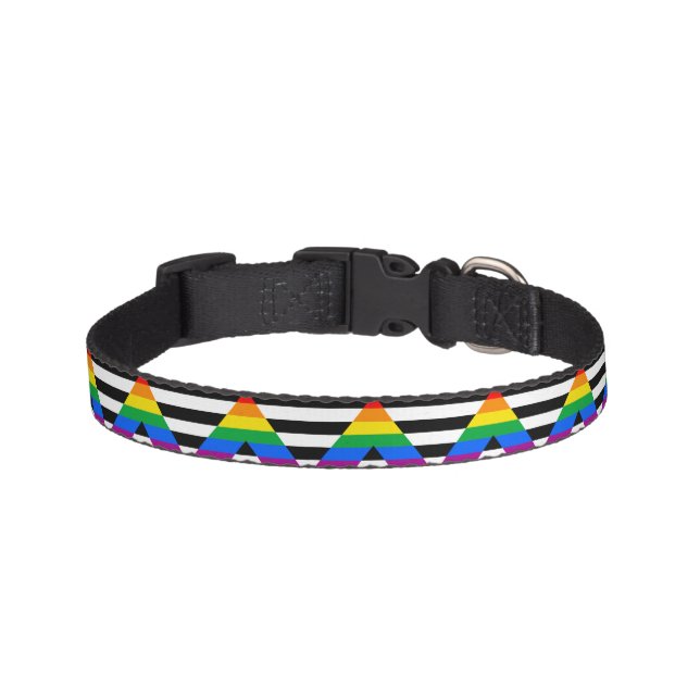LGBTQ+ Ally Flag Pet Collar (Front)