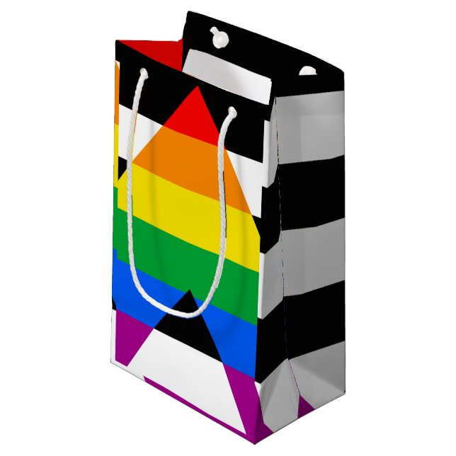 LGBTQ+ Ally Flag Small Gift Bag (Front Angled)