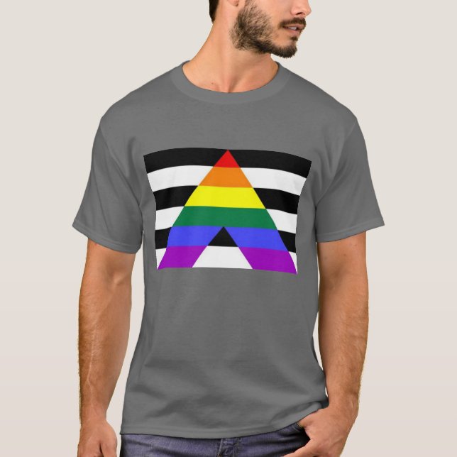 LGBTQ+ Ally Flag T-Shirt (Front)