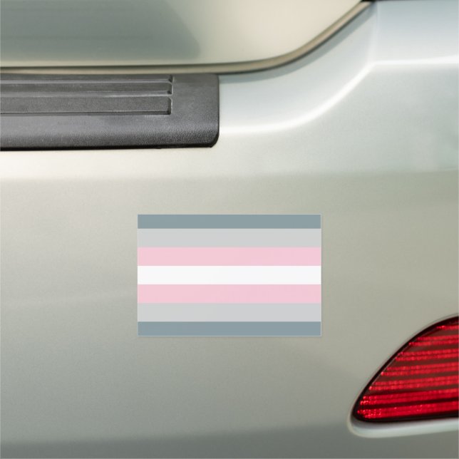 LGBTQ Demigirl Pride Flag Car Magnet (In Situ)
