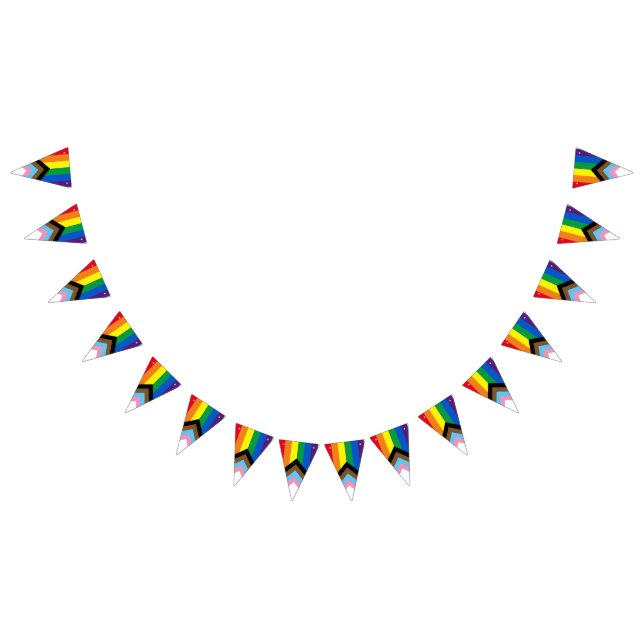 Lgbtq inclusive rainbow diversity gay pride bunting flags (All)