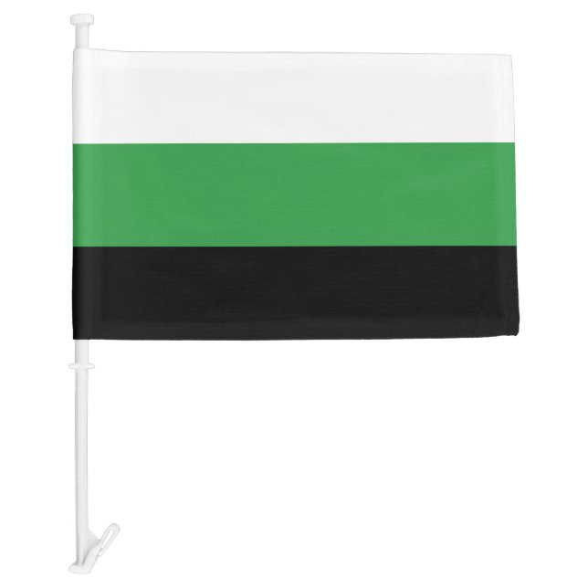 LGBTQ Neutrois Pride Car Flag (Front)