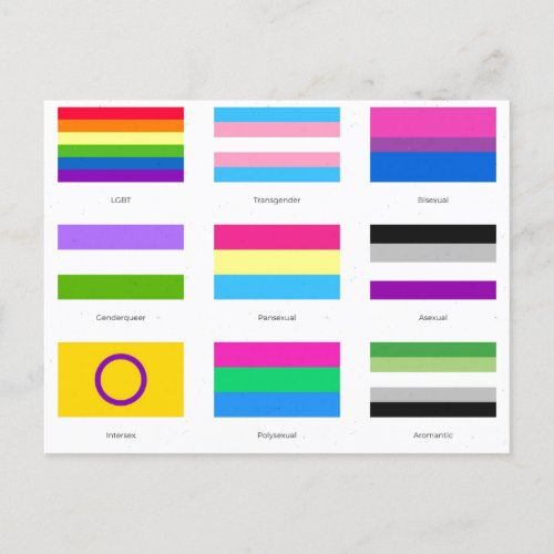 LGBTQIA Pride 9 x FLAGS  Rainbow Awareness Chic An Announcement Postcard