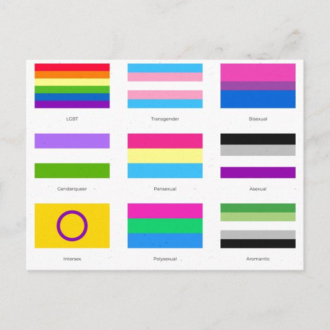 LGBTQIA Pride 9 x FLAGS  Rainbow Awareness Chic An Announcement Postcard (Front)