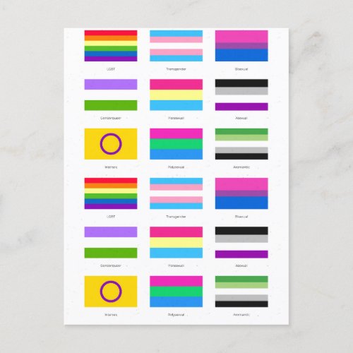 LGBTQIA Pride 9 x FLAGS  Rainbow Awareness Chic Announcement Postcard