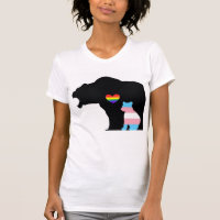 LGBTQUIA+ Bear protecting the Trans bear
