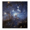 LH 95 Star forming region NASA