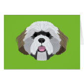 Lhasa Apso (Front Horizontal)