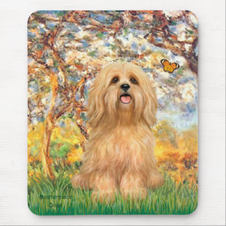 Lhasa Apso 9 - Spring Mouse Pad