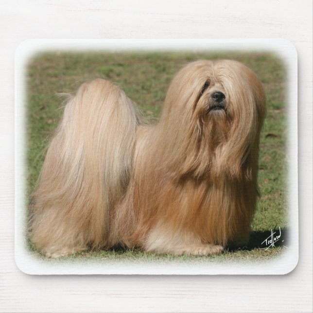 Lhasa Apso 9Y394D-079 Mouse Pad (Front)