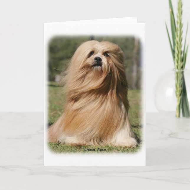 Lhasa Apso 9Y394D-104 Card (Front)