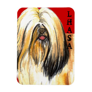 Lhasa Apso Color Block Magnet