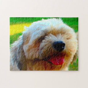 Lhasa Apso Dog Breed. Jigsaw Puzzle