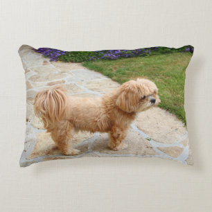 Lhasa Apso dog in a garden Accent Pillow