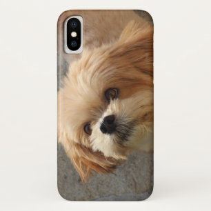 Lhasa Apso dog in a garden iPhone X Case