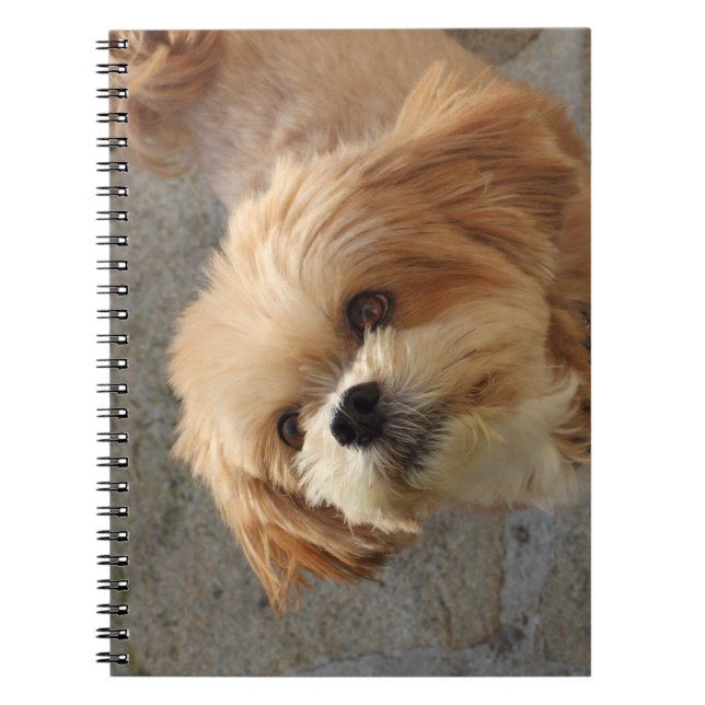 Lhasa Apso dog in a garden Notebook (Front)