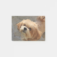 lhasa apso gift items