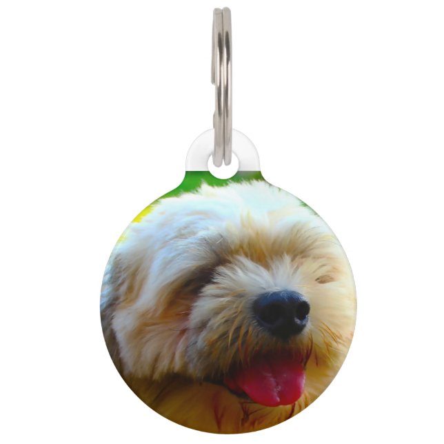 Lhasa Apso Dog. Pet ID Tag (Front)