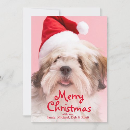 Lhasa Apso Dog Wearing Santa Hat Holiday Card