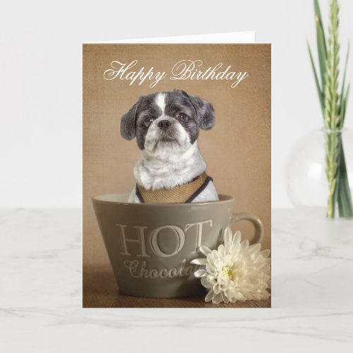 Lhasa apso greetings card