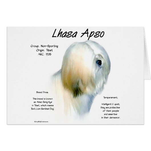 Lhasa Apso History Design Cards (Front Horizontal)