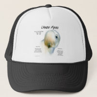 Lhasa Apso History Design