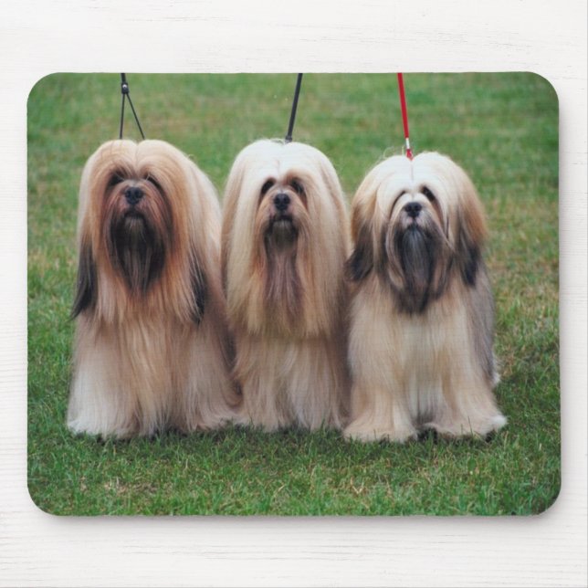 Lhasa apso Mouse Pad (Front)