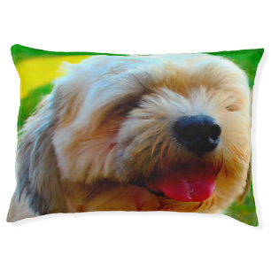 Lhasa Apso. Pet Bed