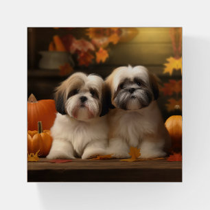 Lhasa Apso Puppy Autumn Delight Pumpkin Paperweight
