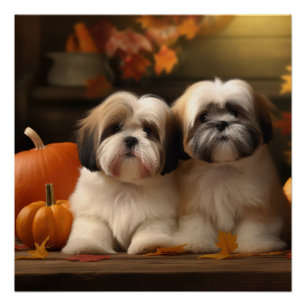 Lhasa Apso Puppy Autumn Delight Pumpkin Poster