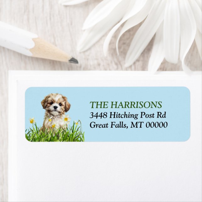 Lhasa Apso Puppy Daffodil Garden Label (Insitu)