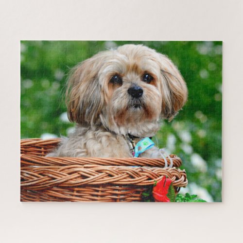 Lhasa Apso Puppy Dog in a Basket Jigsaw Puzzle