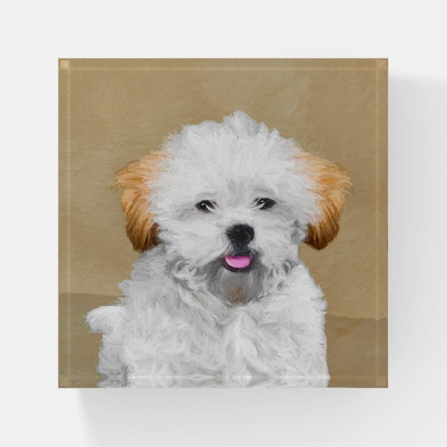 Lhasa Apso Puppy Painting - Cute Original Dog Art Paperweight (Front)