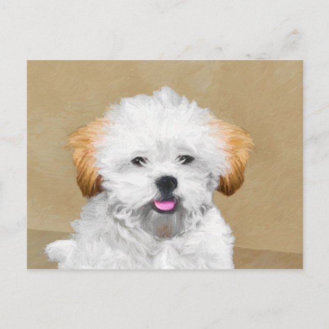 Lhasa Apso Puppy Painting - Cute Original Dog Art Postcard (Front)
