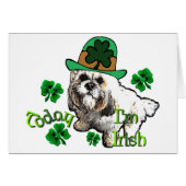 Lhasa Apso St Patricks (Front Horizontal)