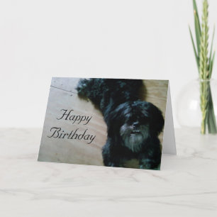 LHASA APSO WISHES FOR A HAPPY BIRTHDAY CARD