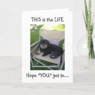 LHASA WANTS YOU TO ENJOY YOUR "40th!" Card