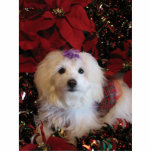 LhasaPoo Cutout<br><div class="desc">Cute dog dressed for the Holidays</div>