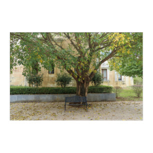 Li Garden Series: Echoes Beneath the Tree Acrylic Print