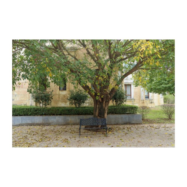Li Garden Series: Echoes Beneath the Tree Acrylic Print (Front)