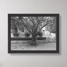 Li Garden Series: Echoes Beneath the Tree