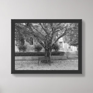 Li Garden Series: Echoes Beneath the Tree Framed Art