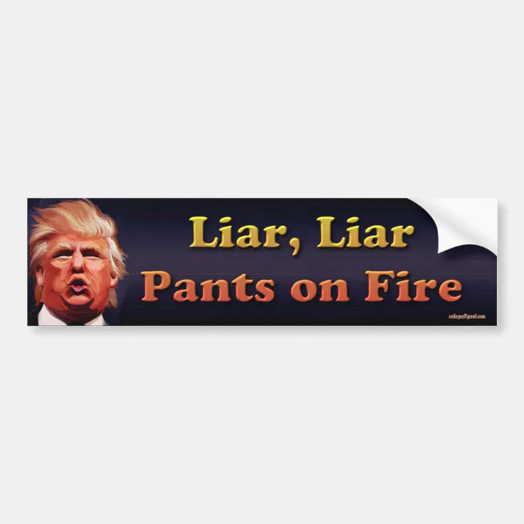 Liar Liar Pants On Fire Bumper Sticker Zazzle