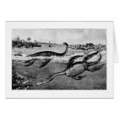 Liassic Plesiosaurs art card (Front Horizontal)