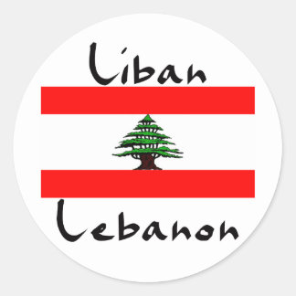 Image result for lebanon flag