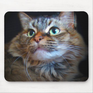 libby cat mousepad